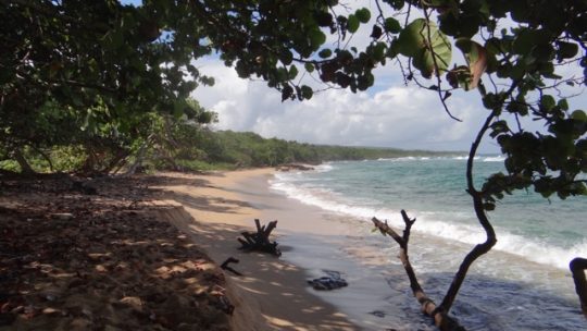 Det tykisblå caribiske hav.